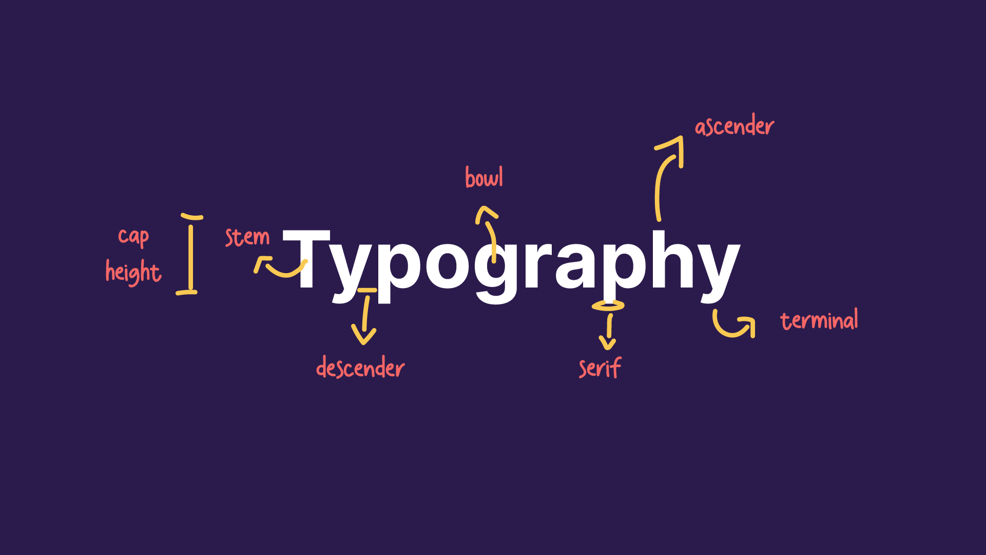 Typography 