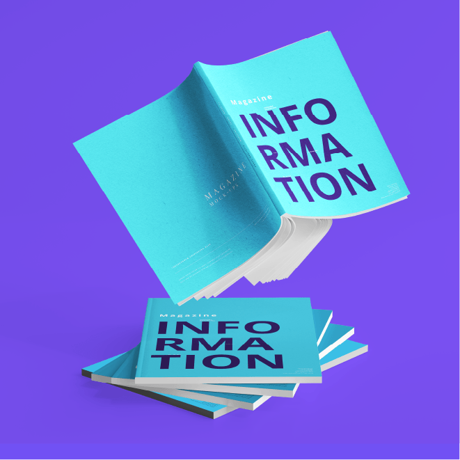 Information Design