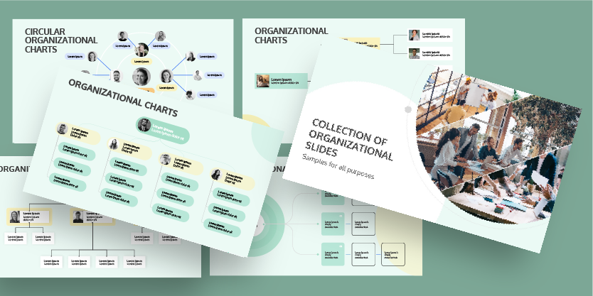 Collection of Organizational Slides